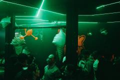 20250215020610_-@steinsohnimages-Stefan-Steinmetz