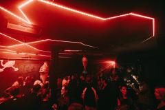 20250215020641_-@steinsohnimages-Stefan-Steinmetz