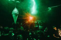 20250215020712_-@steinsohnimages-Stefan-Steinmetz