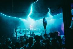 20250215020817_-@steinsohnimages-Stefan-Steinmetz