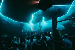 20250215020820_-@steinsohnimages-Stefan-Steinmetz