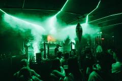 20250215020915_-@steinsohnimages-Stefan-Steinmetz