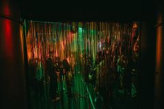 20250215022755_-@steinsohnimages-Stefan-Steinmetz