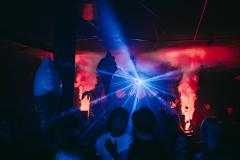 20250215023709_-@steinsohnimages-Stefan-Steinmetz