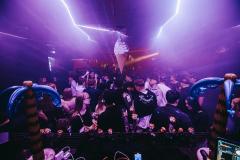 20250215025359_-@steinsohnimages-Stefan-Steinmetz