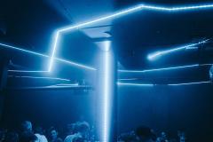20250112013752_-@steinsohnimages-Stefan-Steinmetz