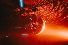 20250112014828_-@steinsohnimages-Stefan-Steinmetz